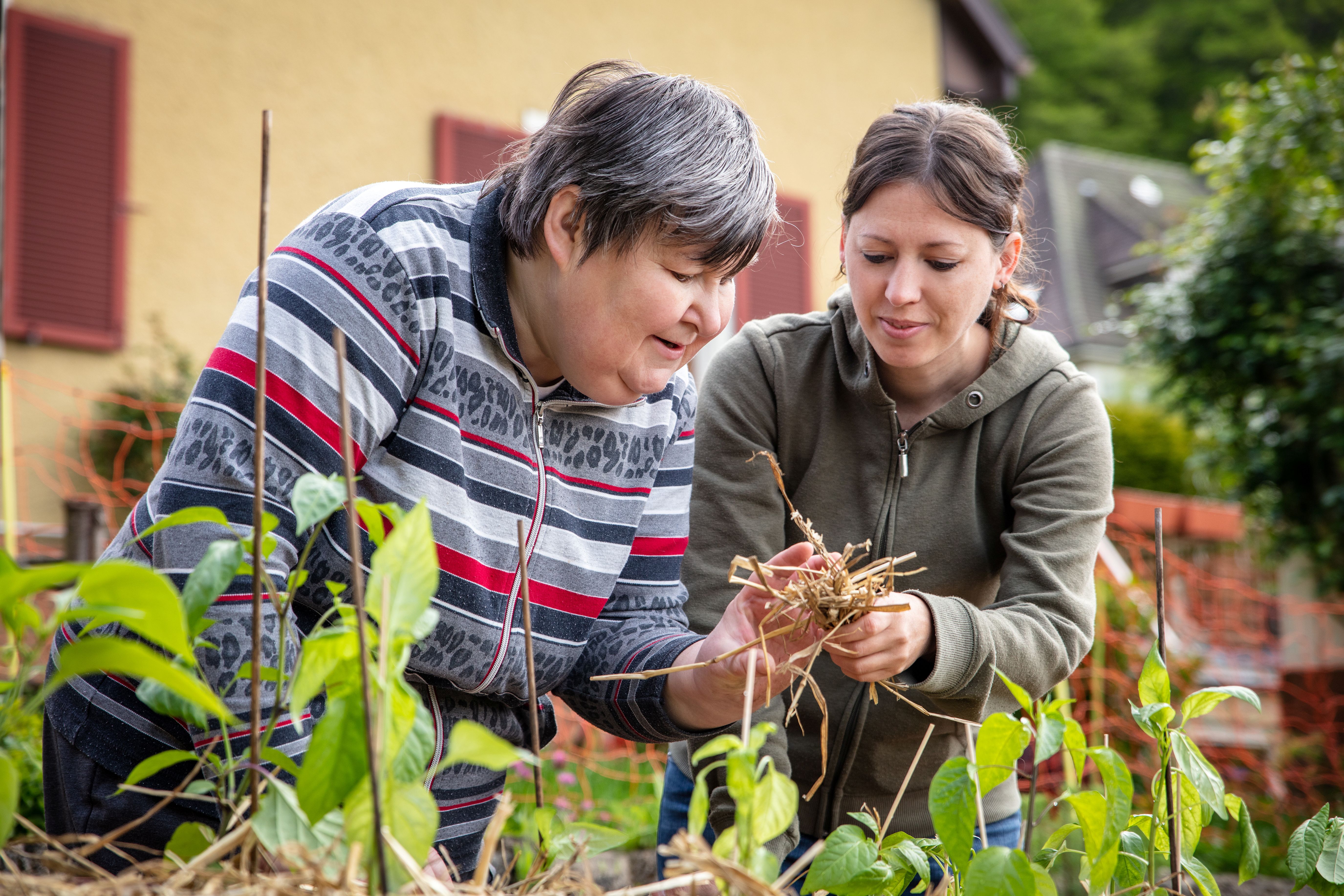 Women gardening together
